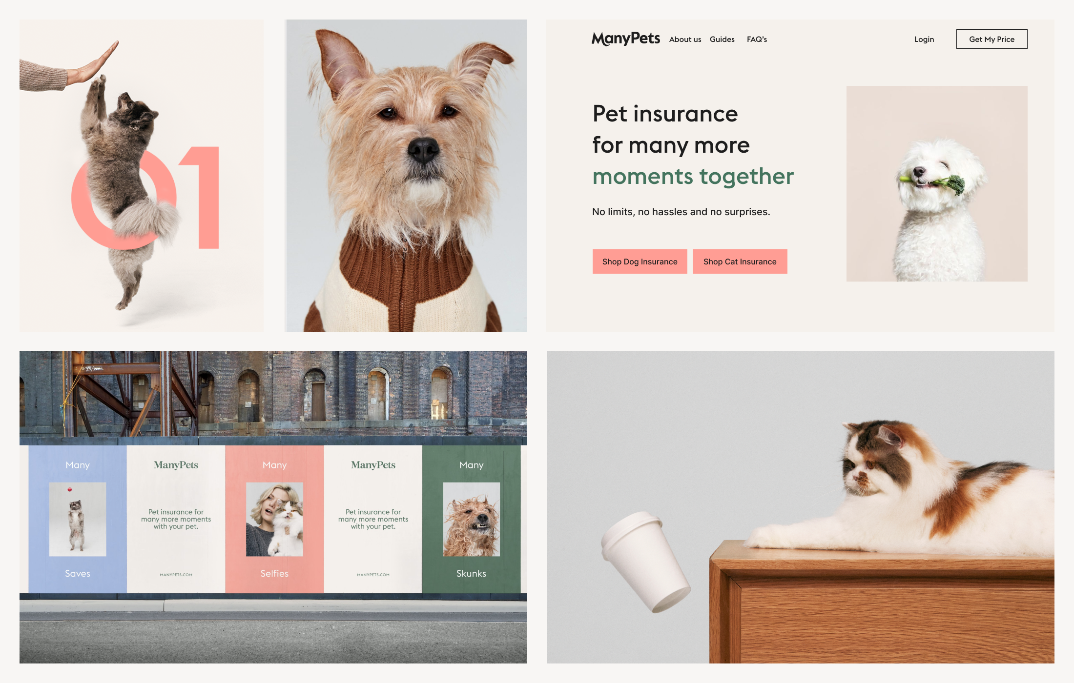 The ManyPets rebrand: from Bought By Many to ManyPets